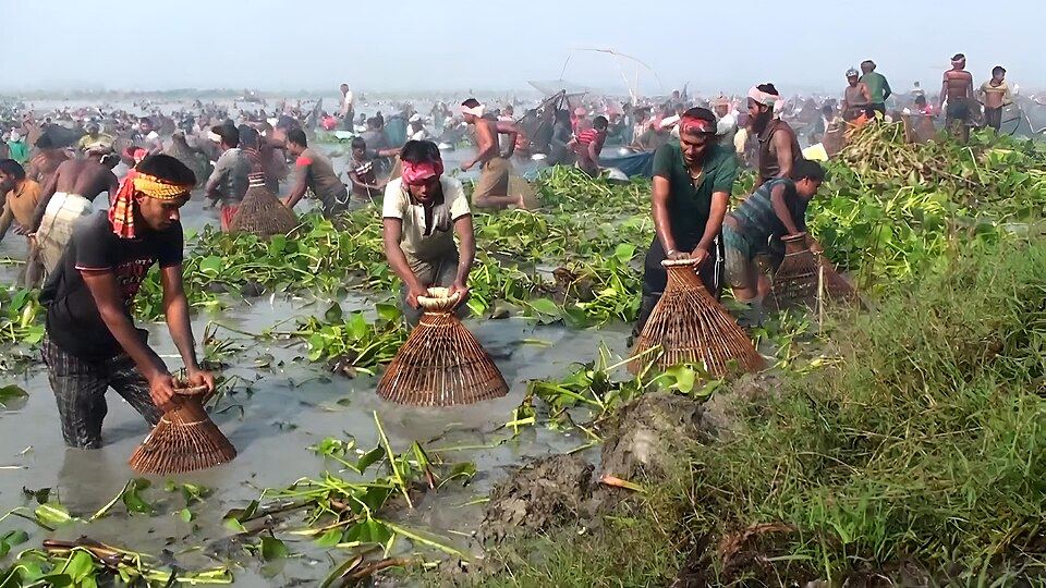 Chalan Beel