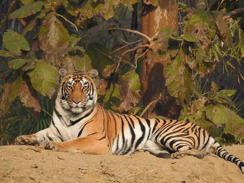 Khulna